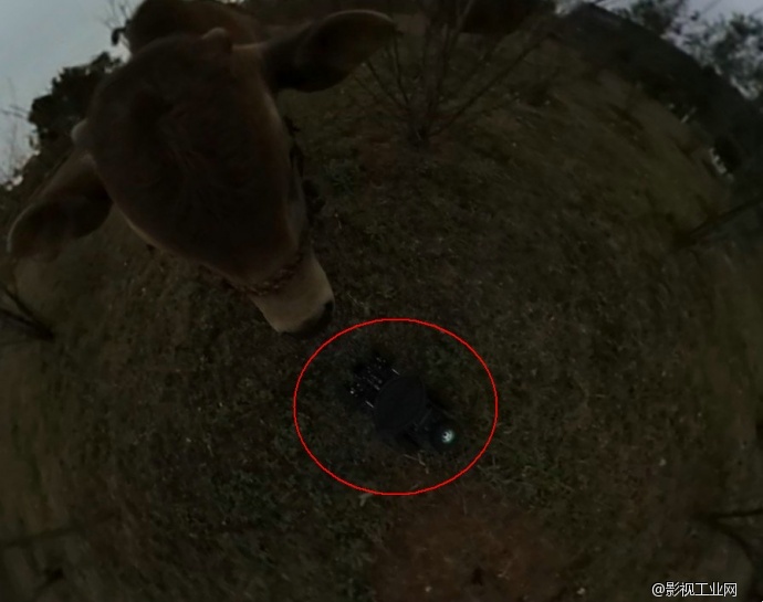 野外动物拍摄利器：360度全景全地形无线遥控拍摄车