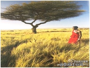 《一带一路中国人》