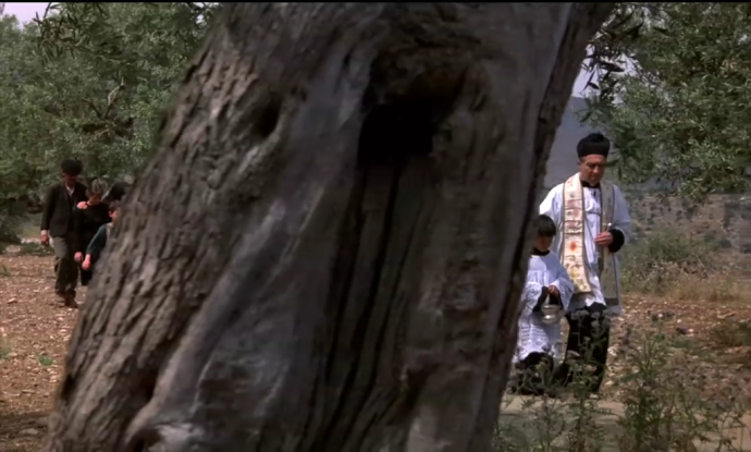 镜头焦段的选择