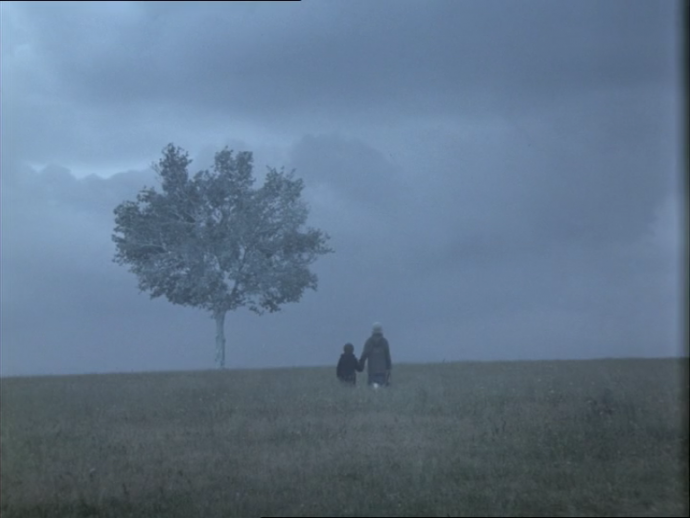 镜头焦段的选择