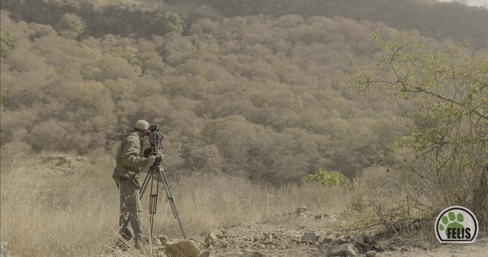 可以装进登山包的电影机：VariCam LT是怎么成为纪录片神器的