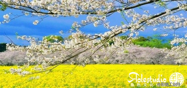 角色文化传媒--iFootage印迹中国区第二届产品研讨会相约婺源