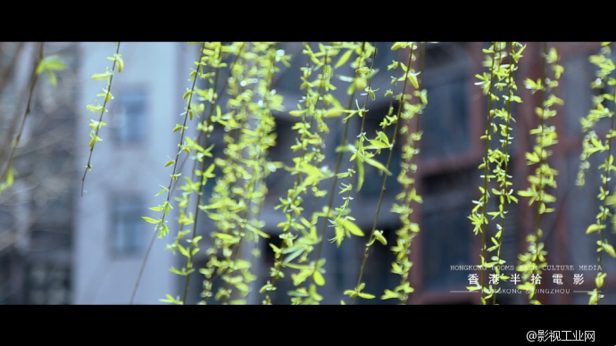 「香港半拾電影出品」《十歲陽光里》荊州微電影﹣周揚導演作品