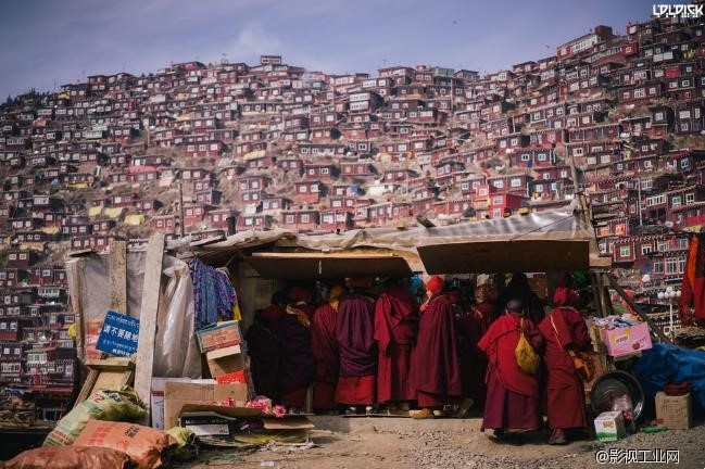 在线课程丨数码时代的胶片情怀