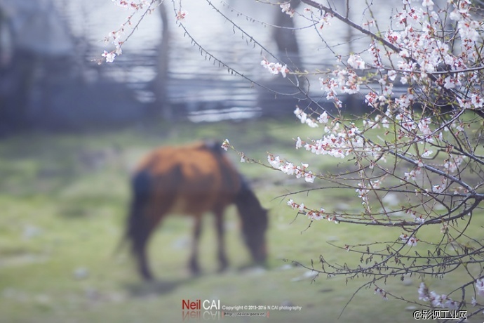 ​走遍藏区五省是怎样的体验？