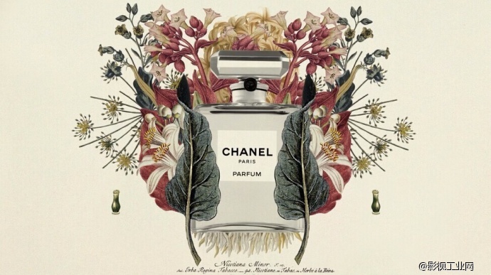 Brandon Li导演用单反拍出的香港大片