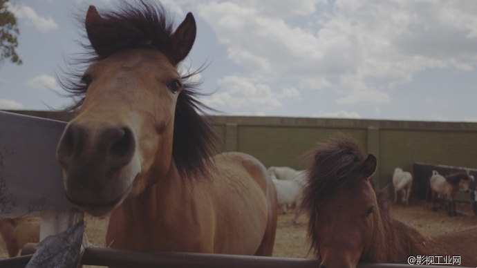 航拍新高度 RAW格式4K航拍器大疆X5R评测