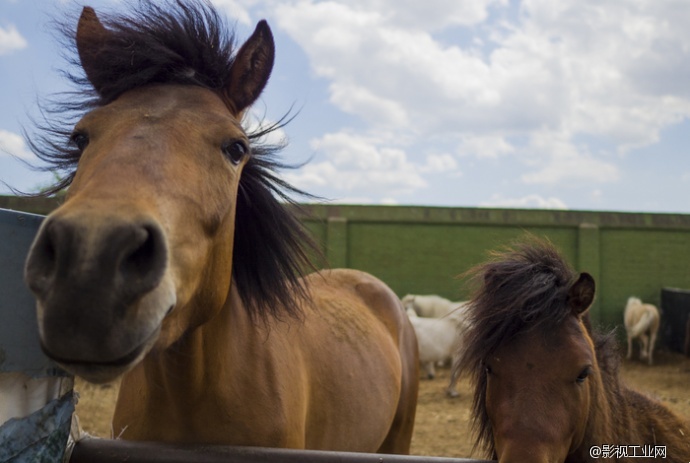 航拍新高度 RAW格式4K航拍器大疆X5R评测
