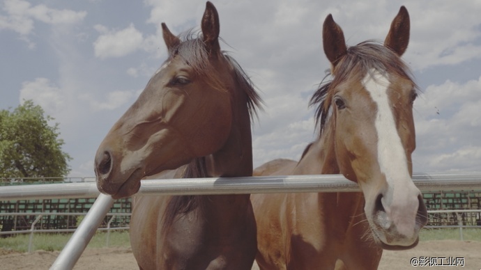 航拍新高度 RAW格式4K航拍器大疆X5R评测