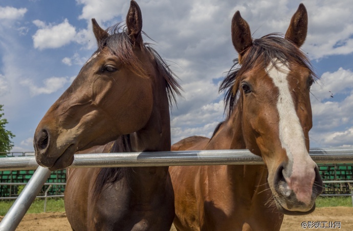 航拍新高度 RAW格式4K航拍器大疆X5R评测