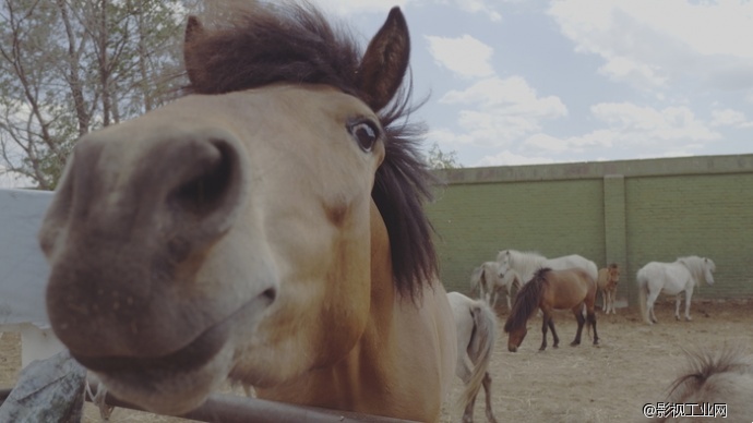 航拍新高度 RAW格式4K航拍器大疆X5R评测