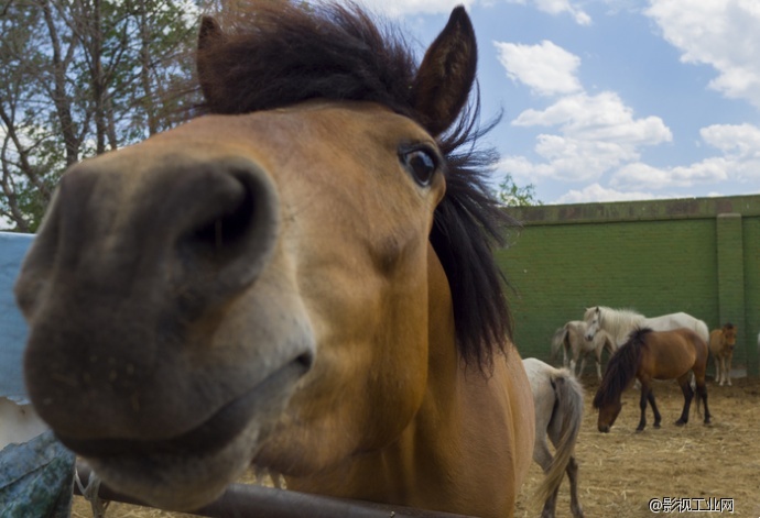 航拍新高度 RAW格式4K航拍器大疆X5R评测