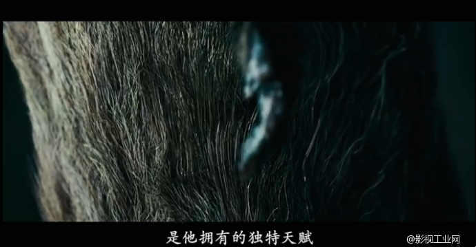 致《香水》——最完美的处子香气