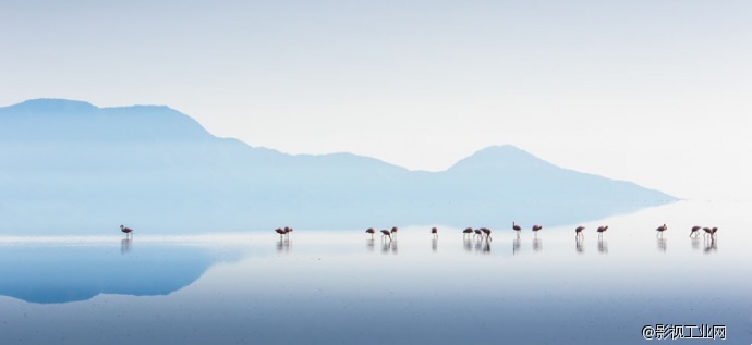 一次超乎想象的非洲高级摄影之旅