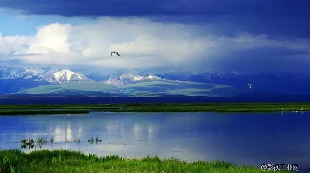 比川西草原绚烂,比内蒙古草原壮阔,这绝对是新疆最美的草原大环线