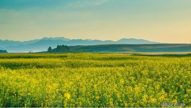 比川西草原绚烂,比内蒙古草原壮阔,这绝对是新疆最美的草原大环线