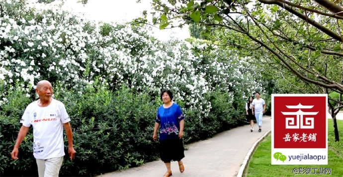 岳家老铺微电影剧照