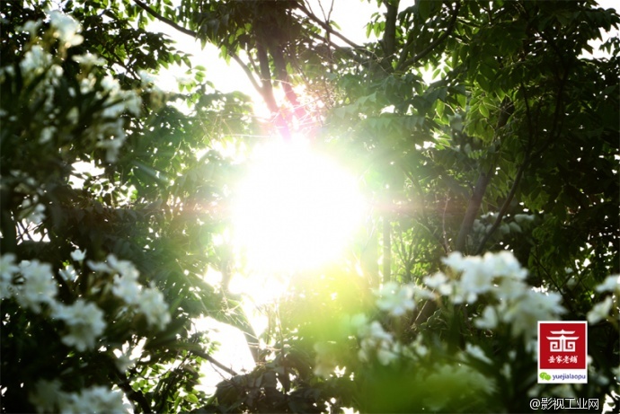 岳家老铺微电影剧照
