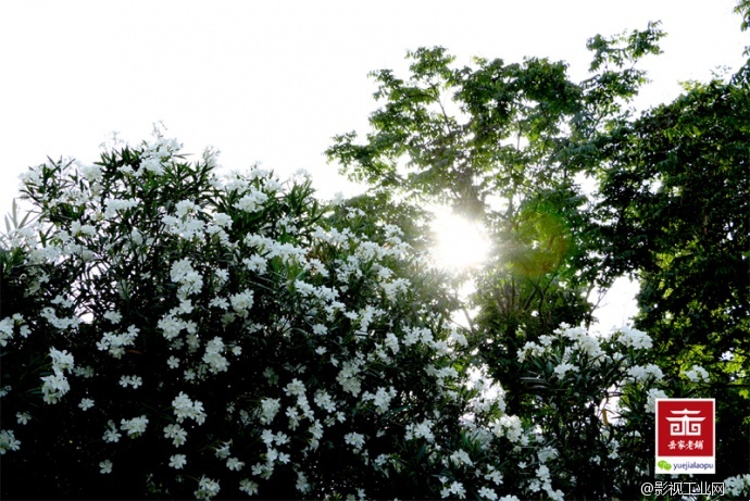 岳家老铺微电影剧照