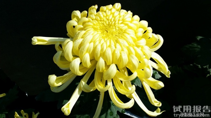 关于miliboo铁塔摄影摄像三脚架的试用报告！