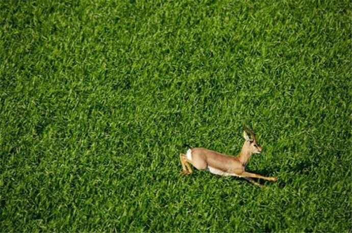 鸟瞰地球绝美地球风光摄影