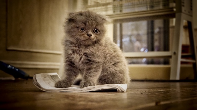 电影《发囧》花絮 主演：杨思琦 海鸣威 郑建鹏 刘汗