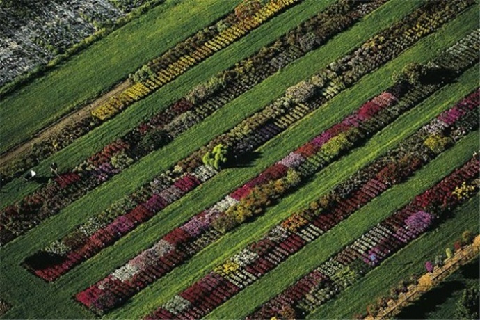 鸟瞰地球绝美地球风光摄影系列