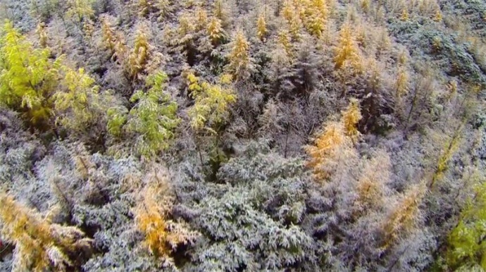 航拍纪录片《秘境卓尼》,发现不一样的美