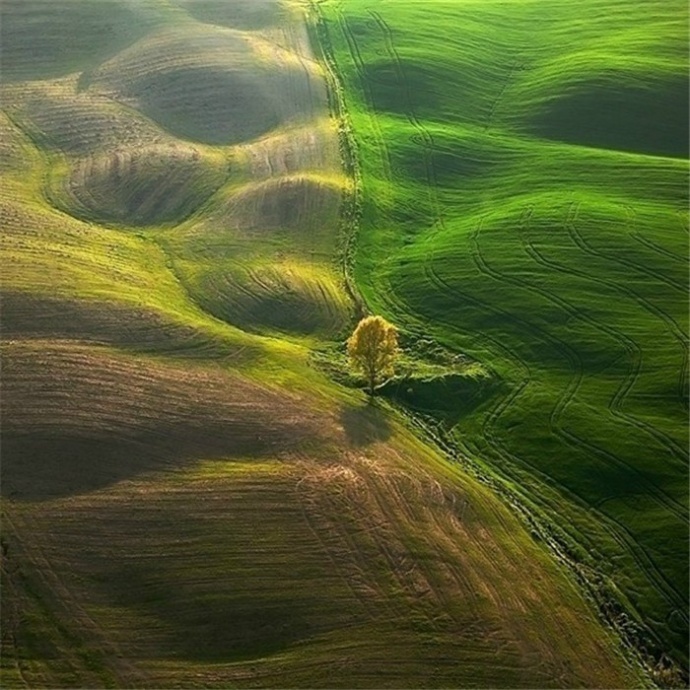 航拍作品欣赏:绝美的绿色风光摄影