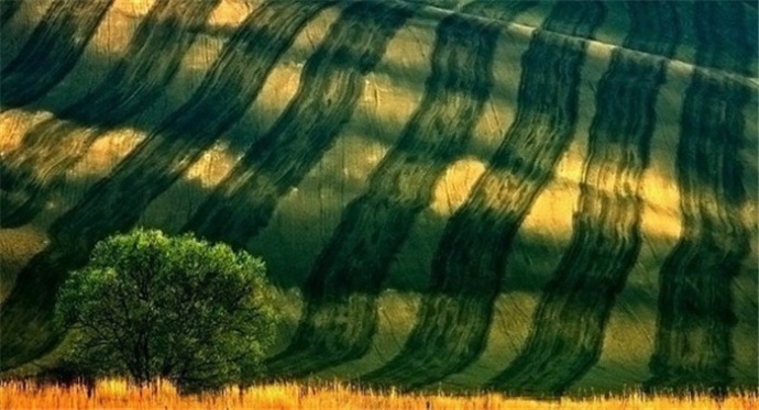 航拍作品欣赏:绝美的绿色风光摄影