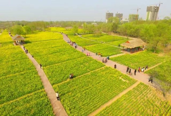 看我大滨州,美与诗意并存