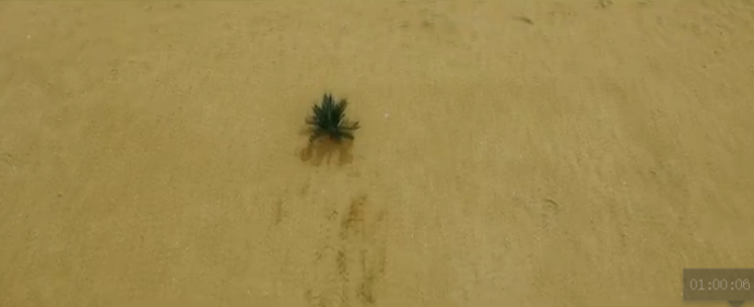 杀死电影人的不是IP，而是自己！