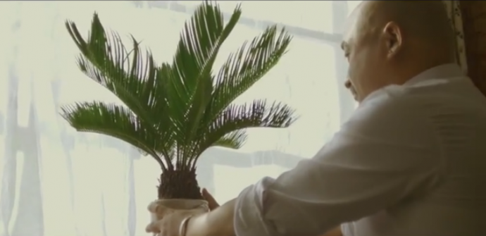 这部电影绝对是今夏的一部惊艳之作！