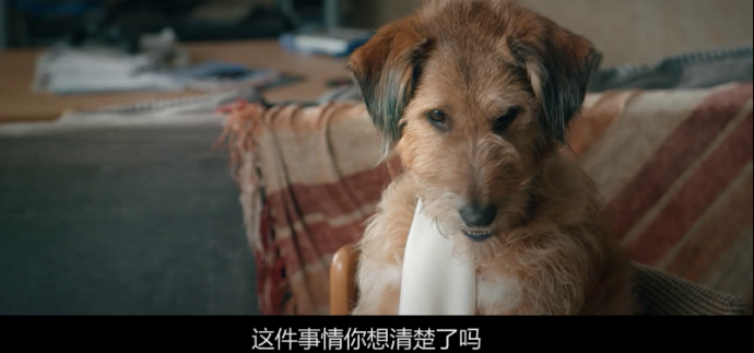 今年喜剧界的泥石流来了