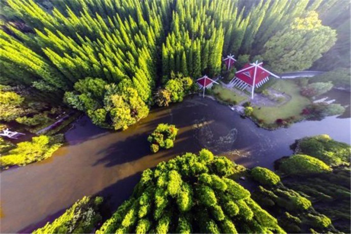 这样的上海东平国家森林公园你见过吗?!