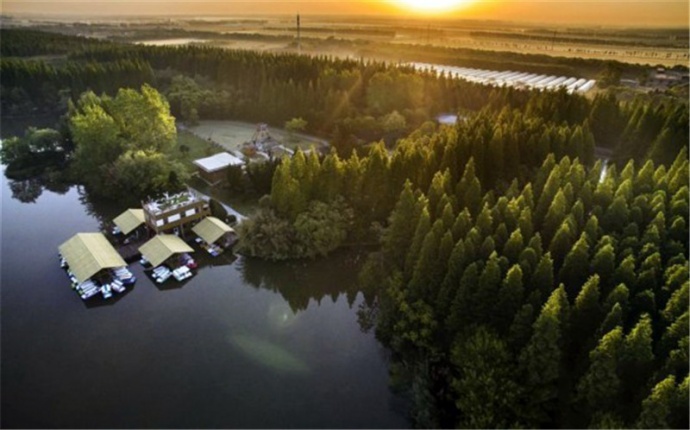 这样的上海东平国家森林公园你见过吗?!