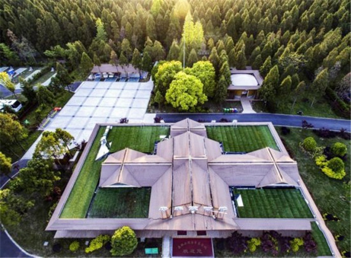 这样的上海东平国家森林公园你见过吗?!