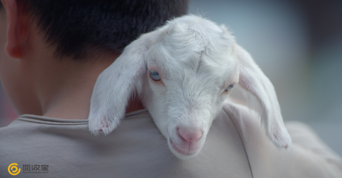 回收宝发布首部温情品牌片——《孩子的愿望》传递手机新生