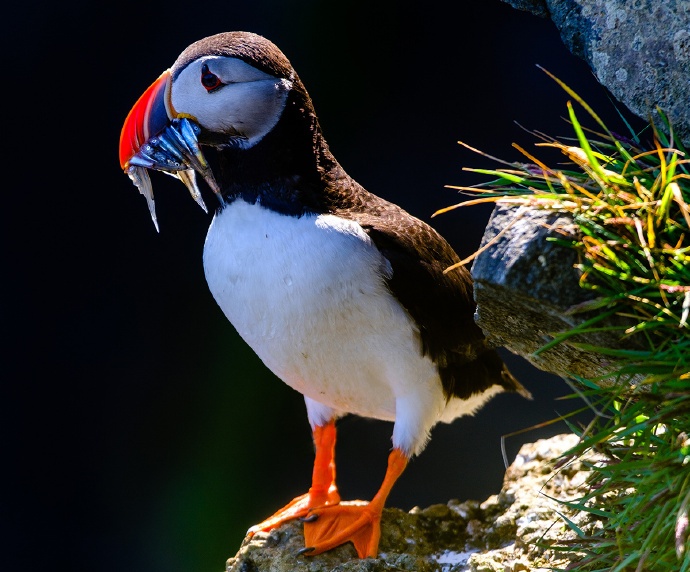 在线课程|商业图片库与色彩管理 ——GettyImage X Datacolor色彩管理在线课程