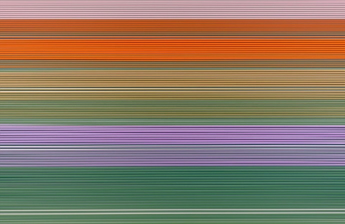 摄影师航拍镜头下的荷兰郁金香花海