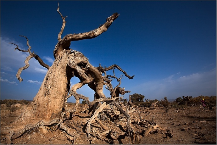 ​游学院意斯尘新疆风情主题人像摄影