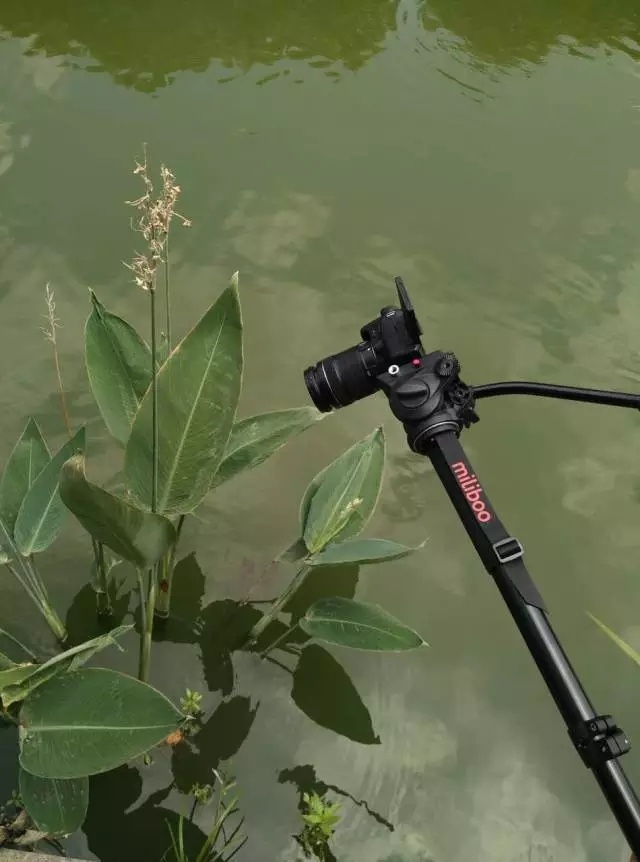 80%摄影师不知道的独脚架拍摄方法