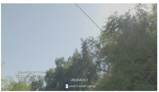 深度镜头测试：徕卡Summicron VS 库克S4