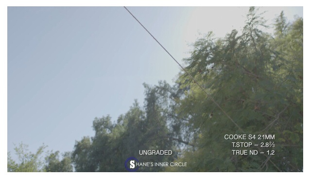 深度镜头测试：徕卡Summicron VS 库克S4