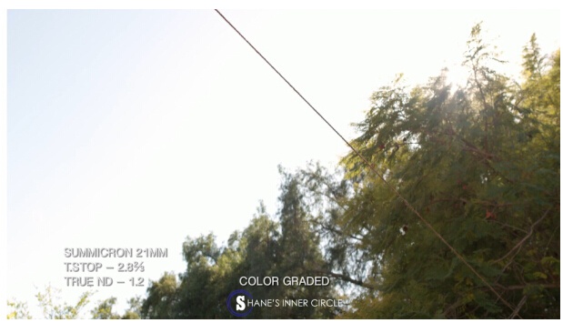 深度镜头测试：徕卡Summicron VS 库克S4