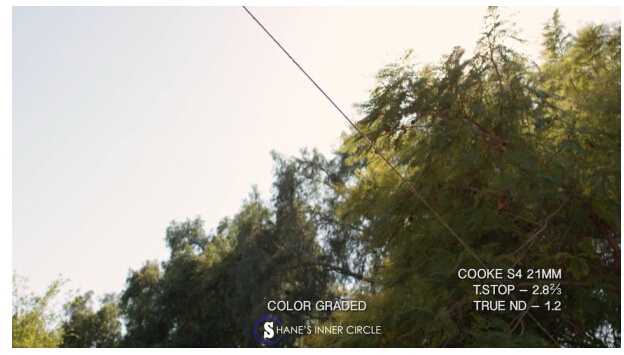 深度镜头测试：徕卡Summicron VS 库克S4