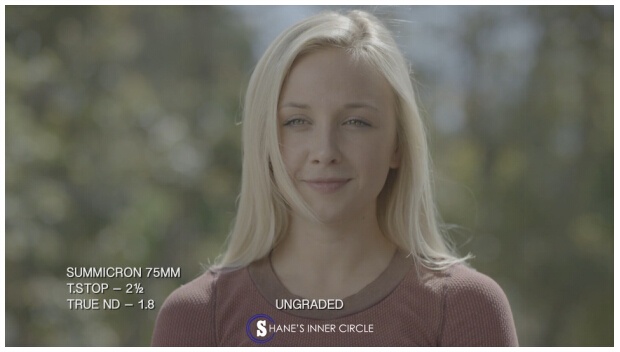 深度镜头测试：徕卡Summicron VS 库克S4