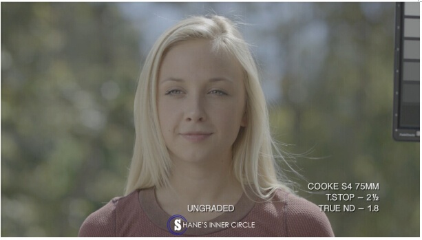 深度镜头测试：徕卡Summicron VS 库克S4