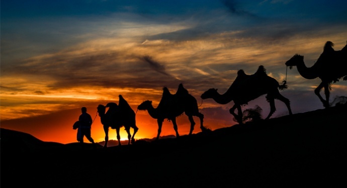 ​游学院额济纳胡杨沙漠西北深秋风光摄影