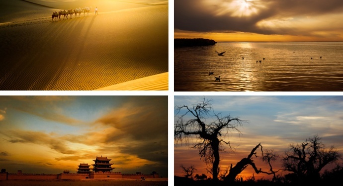 ​游学院额济纳胡杨沙漠西北深秋风光摄影